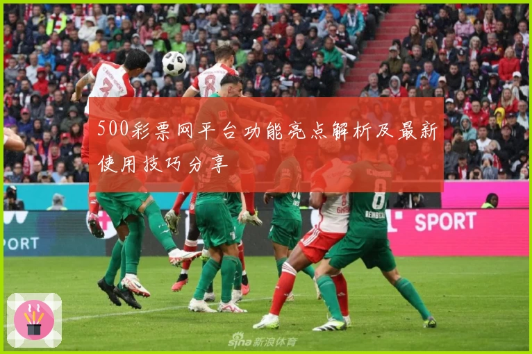 500彩票网平台功能亮点解析及最新使用技巧分享